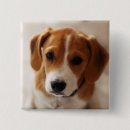 Suche nach fokus buttons Babytiere