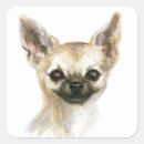 Suche nach chiwawa aufkleber Chihuahua