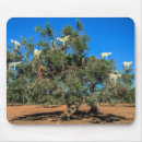 Suche nach ziegen mousepads Lustig