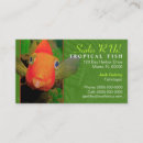 Suche nach goldfisch visitenkarten Aquarium