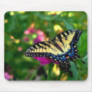 Suche nach gelber schmetterling mousepads Makro