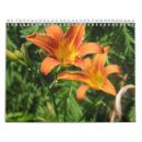 Suche nach marienkäfer kalender Blumen