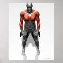 Suche nach human body poster Doctor's office