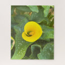 Suche nach calla puzzle Natur
