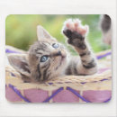 Suche nach kätzchen mousepads Keine leute