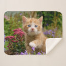 Suche nach lustiger tiger decken Katze