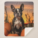 Suche nach boston terrier decken Urlaub