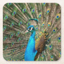 Suche nach fasan untersetzer Pfau