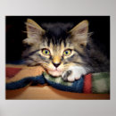 Suche nach thoughtful poster Katze
