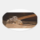 Suche nach mongoose aufkleber Wild