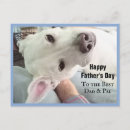 Suche nach bester hund postkarten Für ihn