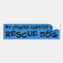Suche nach chinesisches autoaufkleber Adoption