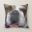 Suche nach belgien kissen Belgianisch