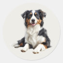 Suche nach australian shepherd aufkleber Süß