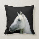 Suche nach pferdekopf kissen Pony