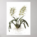 Suche nach drake poster Vintag