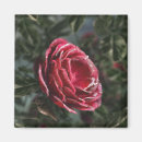 Suche nach rosa eis magnete Glitzer