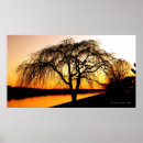 Suche nach serengeti poster Sonnenuntergang