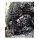 Suche nach flechten poster Natur