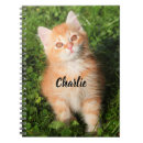 Suche nach fluffy kleine notizbücher Haustier