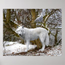 Suche nach einsamer wolf poster Gemälde