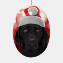 Suche nach labrador retriever ornamente Lustig