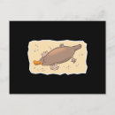 Suche nach platypus poster Australie