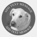 Suche nach schwarzer hund aufkleber Fotografie