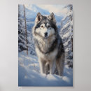 Suche nach alaskan malamute poster Winter