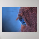 Suche nach liebende poster Für sie/ihn