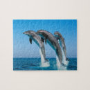 Suche nach delphin puzzle Puzzlespiele