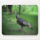 Suche nach amerikanischer vogel mousepads Vogelbeobachtung