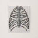 Suche nach menschliches skelett puzzle Anatomie