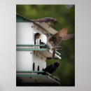 Suche nach martin poster Familie