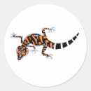 Suche nach salamander aufkleber Natur