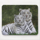 Suche nach bengalische katze mousepads Tier