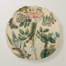 Suche nach raupe kissen Insekten