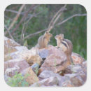 Suche nach chipmunk aufkleber Tierwelt
