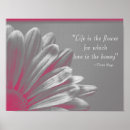Suche nach rosa gänseblümchen poster Für sie