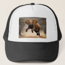 Suche nach lustiger elefant kappen Tier