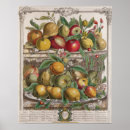 Suche nach zwölf monate poster Casteels