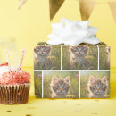 Suche nach wiese geschenkpapier Sommer