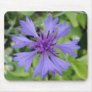 Suche nach kamille mousepads Blau