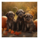 Suche nach drahthaar poster Herbst