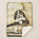 Suche nach tierarzt decken Beagle