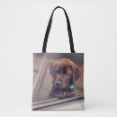 Suche nach labrador retriever accessoires Schokoladenlabrador
