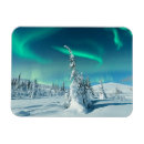 Suche nach polaris magnete Eis