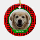 Suche nach welpen ornamente Dogs