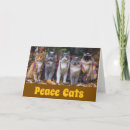 Suche nach cat karten Tabelle
