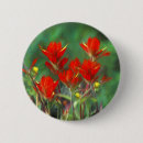 Suche nach originell buttons Malerei